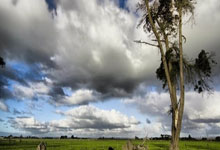 立博体育:思考专用小棉袄4小时前.